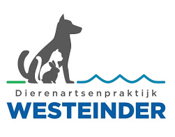 dapwesteinder nieuw logo